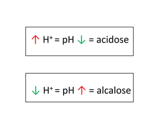 ↑ H+ = pH ↓ = acidose
↓ H+ = pH ↑ = alcalose
 