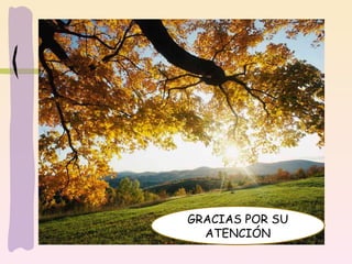 GRACIAS POR SU ATENCIÓN