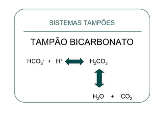 TAMPÃO BICARBONATO
HCO3
- + H+ H2CO3
H2O + CO2
SISTEMAS TAMPÕES
 