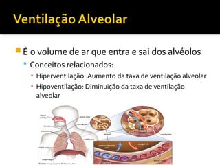 É o volume de ar que entra e sai dos alvéolos
 Conceitos relacionados:
▪ Hiperventilação: Aumento da taxa de ventilação alveolar
▪ Hipoventilação: Diminuição da taxa de ventilação
alveolar
 
