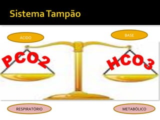 ÁCIDO
BASE
RESPIRATÓRIO METABÓLICO
 