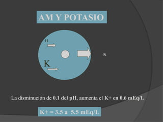 K+ = 3.5 a 5.5 mEq/L
La disminución de 0.1 del pH, aumenta el K+ en 0.6 mEq/L
H
K
K
AM Y POTASIO
 