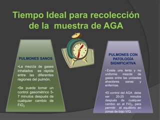 Tiempo Ideal para recolección
de la muestra de AGA
PULMONES SANOS
•La mezcla de gases
inhalados es rápida
entre las diferentes
regiones del pulmón.
•Se puede tomar un
control gasométrico 5-
7 minutos después de
cualquier cambio de
FiO2
PULMONES CON
PATOLOGÍA
SIGNIFICATIVA
• Existe una lenta y no
uniforme mezcla de
gases entre las unidades
alveolares sanas y
enfermas.
•El control del AGA debe
ser 20-25 minutos
después de cualquier
cambio en el FiO2, para
permitir el equilibrio en
zonas de bajo V/Q.
 