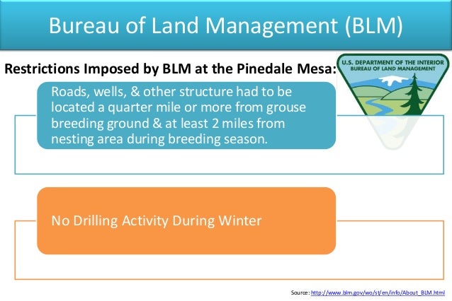 Gas or grouse case study solution picture