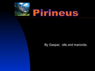 By Gaspar,  olle and maronda. Pirineus 