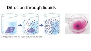 Gas Pressure and Diffusion for lower secondary physics | PPTX