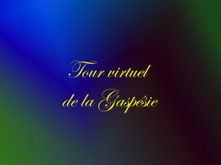Tour virtuel
de la Gaspésie