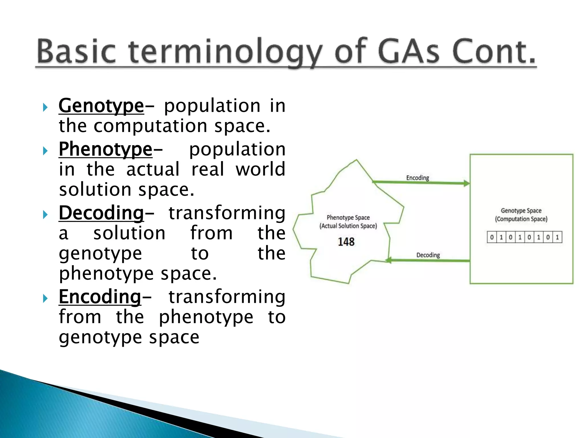  Genotype- population in
the computation space.
 Phenotype- population
in the actual real world
solution space.
 Decoding- transforming
a solution from the
genotype to the
phenotype space.
 Encoding- transforming
from the phenotype to
genotype space
 