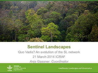 Sentinel Landscapes
Quo Vadis? An evolution of the SL network
21 March 2014 ICRAF
Anja Gassner: Coordinator
 