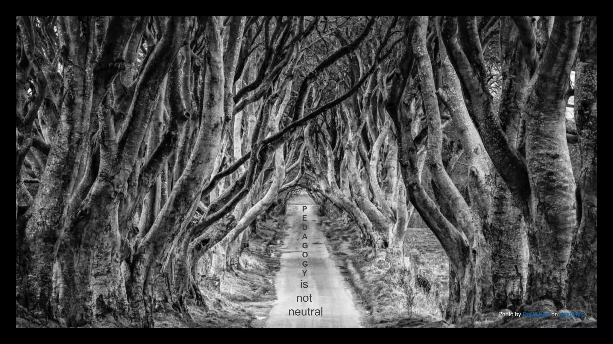 Photo by Rosie Kerr on Unsplash
is
not
neutral
P
E
D
A
G
O
G
Y