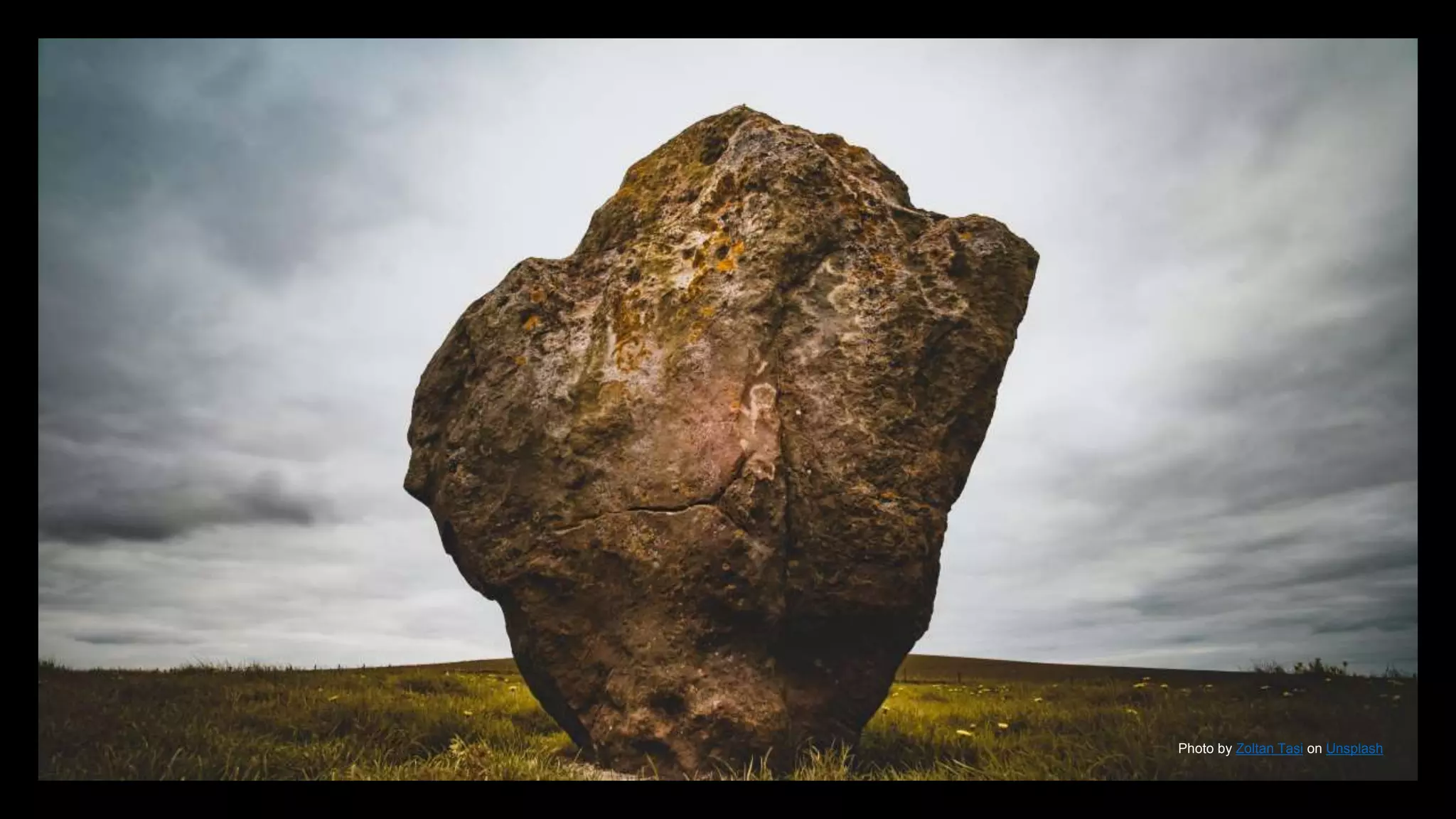 Photo by Zoltan Tasi on Unsplash