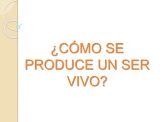 ¿CÓMO SE 
PRODUCE UN SER 
VIVO? 
 