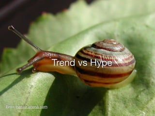 Bron: natuur.ariena.com 
Trend vs Hype 
 