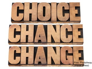 Foto: PixelsAway 
(Marek Uliasz) 
 