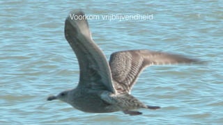 Voorkom vrijblijvendheid
 