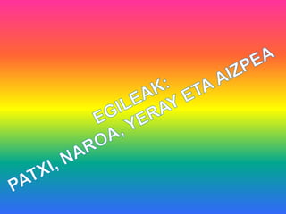 Gasteizko irteera 2D NAPY