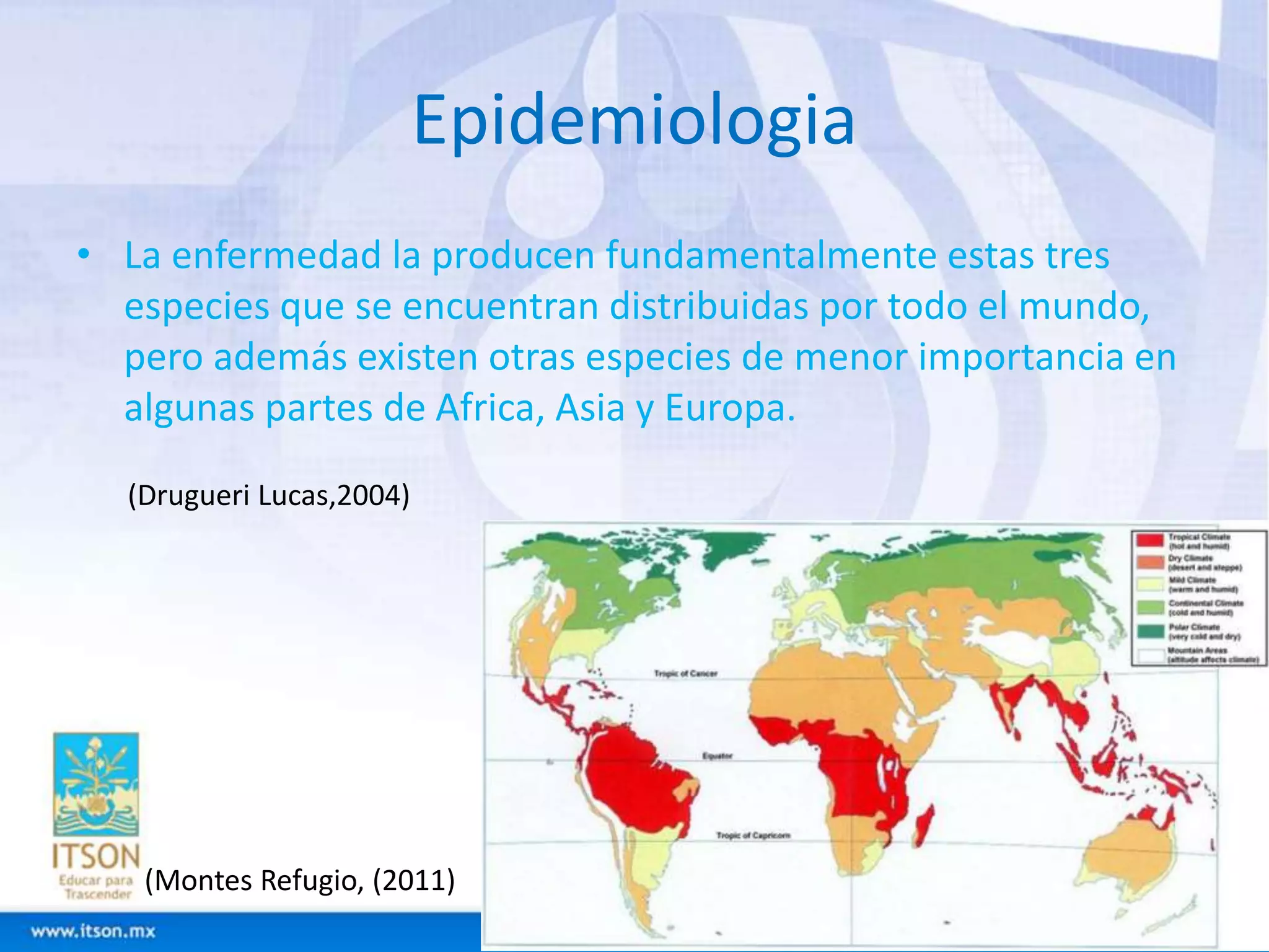 Epidemiologia 
• La enfermedad la producen fundamentalmente estas tres 
especies que se encuentran distribuidas por todo el mundo, 
pero además existen otras especies de menor importancia en 
algunas partes de Africa, Asia y Europa. 
(Drugueri Lucas,2004) 
(Montes Refugio, (2011) 
 