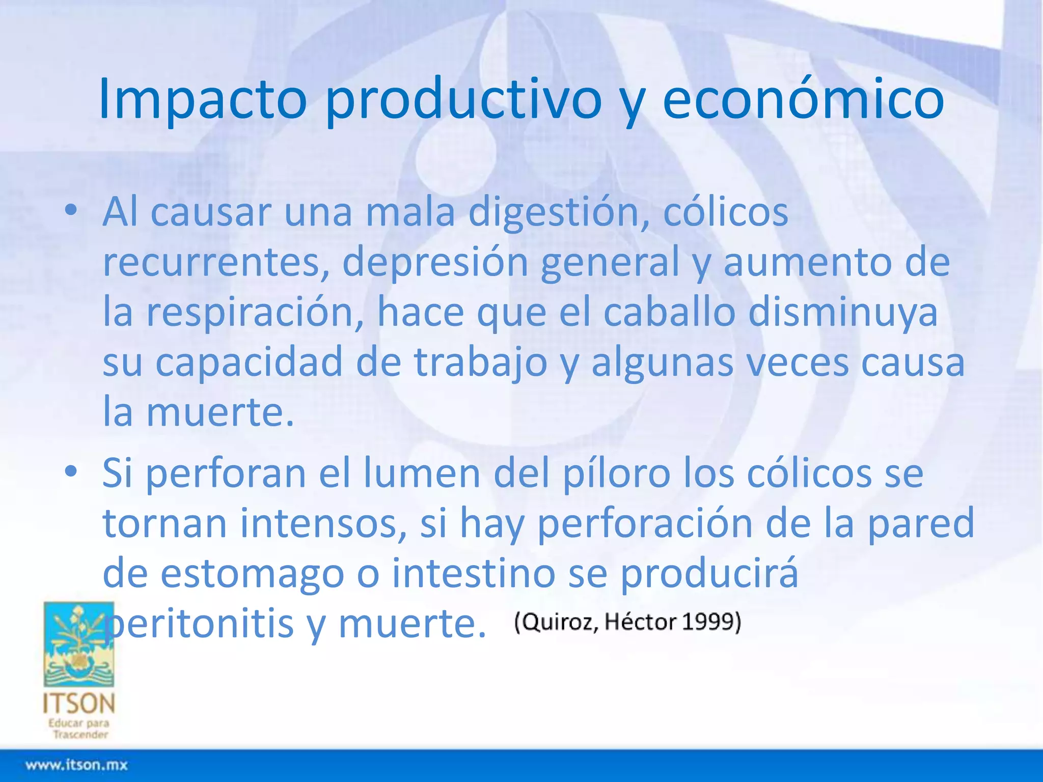 Impacto productivo y económico 
• Al causar una mala digestión, cólicos 
recurrentes, depresión general y aumento de 
la respiración, hace que el caballo disminuya 
su capacidad de trabajo y algunas veces causa 
la muerte. 
• Si perforan el lumen del píloro los cólicos se 
tornan intensos, si hay perforación de la pared 
de estomago o intestino se producirá 
peritonitis y muerte. 
 