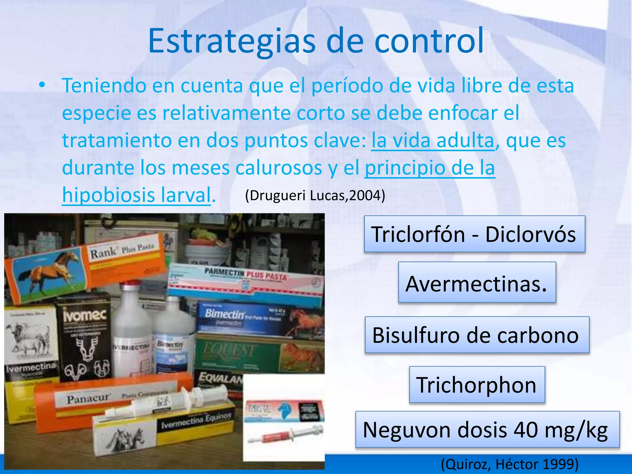 Estrategias de control 
• Teniendo en cuenta que el período de vida libre de esta 
especie es relativamente corto se debe enfocar el 
tratamiento en dos puntos clave: la vida adulta, que es 
durante los meses calurosos y el principio de la 
hipobiosis larval. 
(Drugueri Lucas,2004) 
Triclorfón - Diclorvós 
Avermectinas. 
Bisulfuro de carbono 
Trichorphon 
Neguvon dosis 40 mg/kg 
(Quiroz, Héctor 1999) 
 