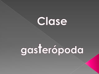 Clasegasterópoda 