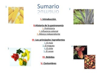 I- Introducción
II-Historia de la gastronomía
1- Prehistoria
2- Influencia colonial
3- México independiente
III- Los principales ingredientes
1- El maíz
2- El maguey
4- El chile
5- El cacao
IV- Bebidas
V- Costumbres
1
2
3
4
 
