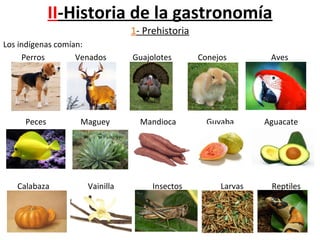 II-Historia de la gastronomía
1- Prehistoria
Los indígenas comían:
Perros Venados Guajolotes Conejos Aves
Peces Maguey Mandioca Guyaba Aguacate
Calabaza Vainilla Insectos Larvas Reptiles
 