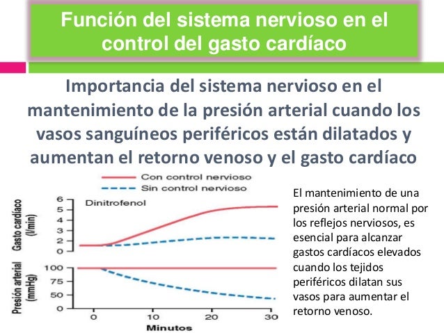 Resultado de imagen para FunciÃ³n del sistema nervioso en el control del gasto cardÃ­aco