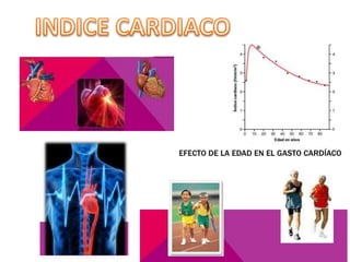 Gasto cardiaco