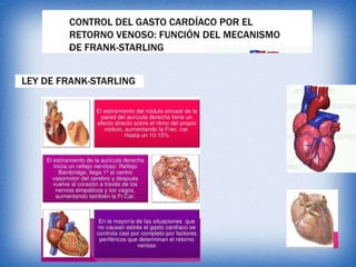 Gasto cardiaco
