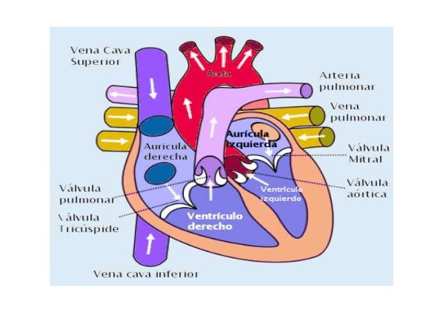 Ver las imágenes de origen