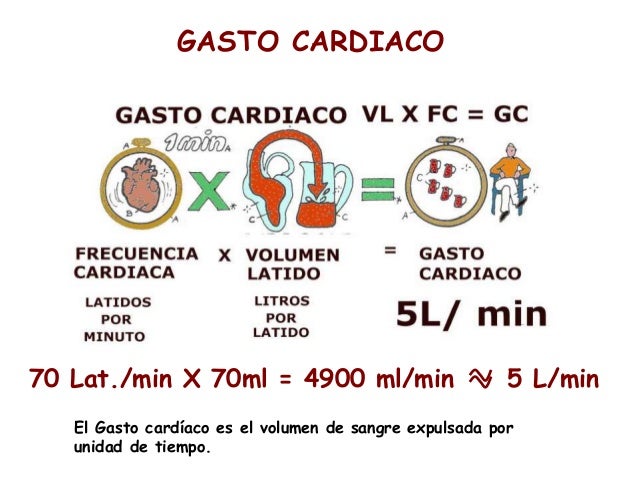Resultado de imagen para gasto cardiaco