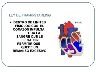 LEY DE FRANK-STARLING ,[object Object],VALV. TRICUSPIDE 