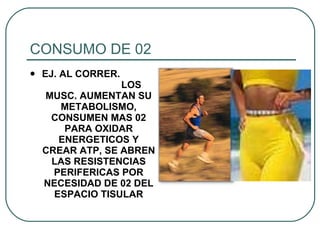 CONSUMO DE 02 EJ. AL CORRER.  LOS MUSC. AUMENTAN SU METABOLISMO, CONSUMEN MAS 02 PARA OXIDAR ENERGETICOS Y CREAR ATP, SE ABREN LAS RESISTENCIAS PERIFERICAS POR NECESIDAD DE 02 DEL ESPACIO TISULAR 