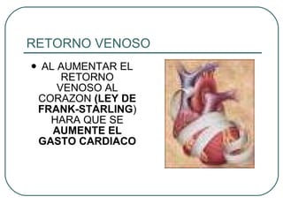 RETORNO VENOSO AL AUMENTAR EL RETORNO VENOSO AL CORAZON  (LEY DE FRANK-STARLING ) HARA QUE SE  AUMENTE EL GASTO CARDIACO 