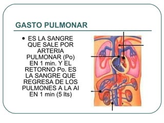 GASTO PULMONAR ES LA SANGRE QUE SALE POR ARTERIA PULMONAR (Po) EN 1 min. Y EL RETORNO Po. ES LA SANGRE QUE REGRESA DE LOS PULMONES A LA AI EN 1 min (5 lts) 