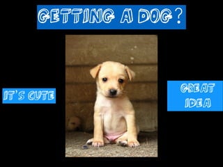 Getting a Dog?
http://www.ﬂickr.com/photos/sebastian-silva/4051599242/

It’s Cute

Great
Idea

 