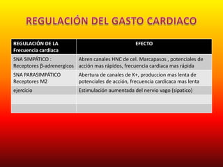 REGULACIÓN DE LA
Frecuencia cardiaca
EFECTO
SNA SIMPÁTICO :
Receptores β-adrenergicos
Abren canales HNC de cel. Marcapasos , potenciales de
acción mas rápidos, frecuencia cardiaca mas rápida
SNA PARASIMPÁTICO
Receptores M2
Abertura de canales de K+, produccion mas lenta de
potenciales de acción, frecuencia cardicaca mas lenta
ejercicio Estimulación aumentada del nervio vago (sipatico)
 