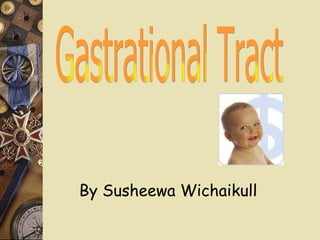 Gastrational Tract By Susheewa Wichaikull 