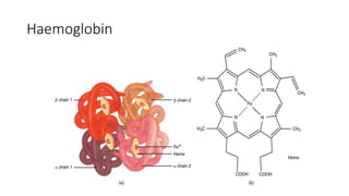 Haemoglobin
 