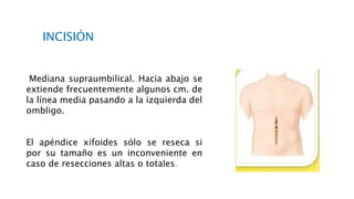 Mediana supraumbilical. Hacia abajo se
extiende frecuentemente algunos cm. de
la línea media pasando a la izquierda del
ombligo.
El apéndice xifoides sólo se reseca si
por su tamaño es un inconveniente en
caso de resecciones altas o totales.
INCISIÓN
 