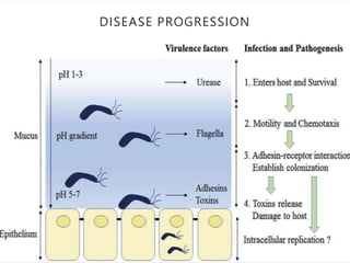 DISEASE PROGRESSION
 