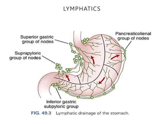 LYMPHATICS
 