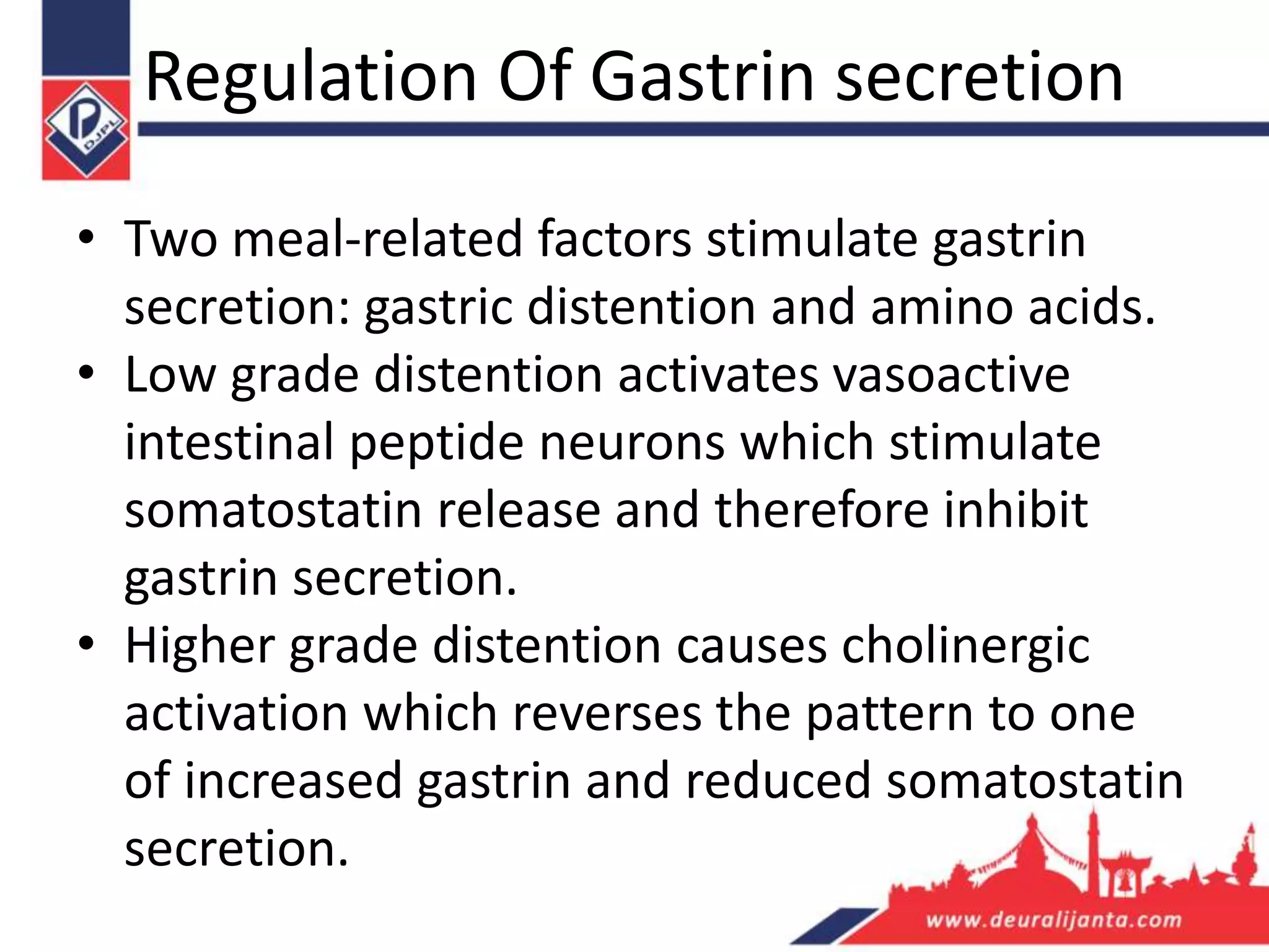 Gastric acid secretion | PPTX