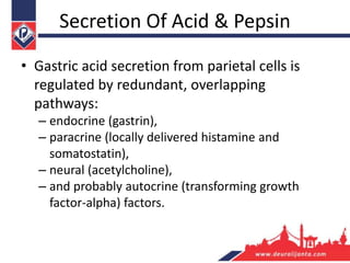 Secretion Of Acid & Pepsin
• Gastric acid secretion from parietal cells is
regulated by redundant, overlapping
pathways:
– endocrine (gastrin),
– paracrine (locally delivered histamine and
somatostatin),
– neural (acetylcholine),
– and probably autocrine (transforming growth
factor-alpha) factors.
 