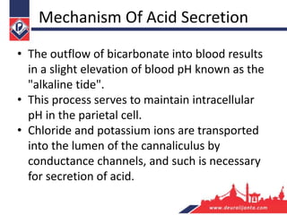 Mechanism Of Acid Secretion
• The outflow of bicarbonate into blood results
in a slight elevation of blood pH known as the
"alkaline tide".
• This process serves to maintain intracellular
pH in the parietal cell.
• Chloride and potassium ions are transported
into the lumen of the cannaliculus by
conductance channels, and such is necessary
for secretion of acid.
 