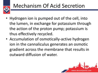 Mechanism Of Acid Secretion
• Hydrogen ion is pumped out of the cell, into
the lumen, in exchange for potassium through
the action of the proton pump; potassium is
thus effectively recycled.
• Accumulation of osmotically-active hydrogen
ion in the cannaliculus generates an osmotic
gradient across the membrane that results in
outward diffusion of water.
 