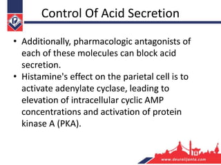Control Of Acid Secretion
• Additionally, pharmacologic antagonists of
each of these molecules can block acid
secretion.
• Histamine's effect on the parietal cell is to
activate adenylate cyclase, leading to
elevation of intracellular cyclic AMP
concentrations and activation of protein
kinase A (PKA).
 