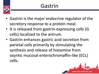 Gastrin
• Gastrin is the major endocrine regulator of the
secretory response to a protein meal.
• It is released from gastrin-expressing cells (G
cells) localized to the antrum.
• Gastrin enhances gastric acid secretion from
parietal cells primarily by stimulating the
synthesis and release of histamine from
oxyntic mucosal enterochromaffin-like (ECL)
cells.
 