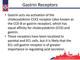 Gastrin Receptors
• Gastrin acts via activation of the
cholecystokinin CCK2 receptor (also known as
the CCK-B or gastrin receptor), which has
equal affinity for cholecystokinin (CCK) and
gastrin.
• These receptors have been localized to
parietal and ECL cells, but it is likely that the
ECL cell gastrin receptor is of greater
importance in regulating acid secretion.
 
