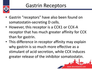 Gastrin Receptors
• Gastrin "receptors" have also been found on
somatostatin-secreting D cells.
• However, this receptor is a CCK1 or CCK-A
receptor that has much greater affinity for CCK
than for gastrin.
• This difference in receptor affinity may explain
why gastrin is so much more effective as a
stimulant of acid secretion, while CCK induces
greater release of the inhibitor somatostatin.
 